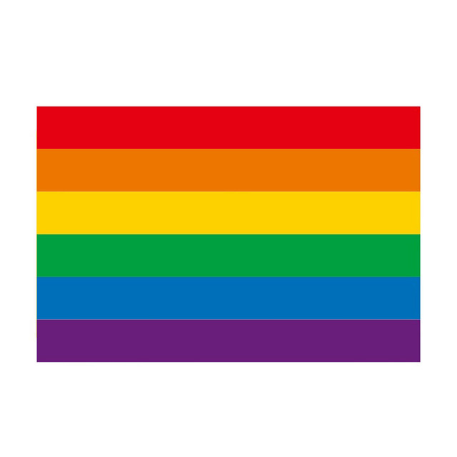 8" x 5 1/2" Rainbow Handheld Flags