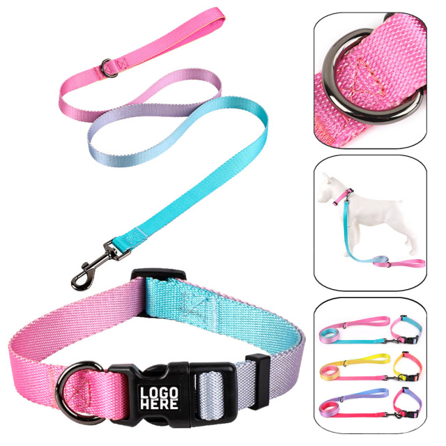 Dog Collar and Leash Set