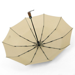 Compact Travel Umbrella