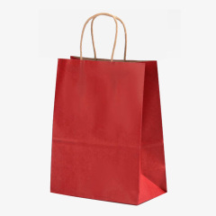 Reusable Kraft Paper Bag
