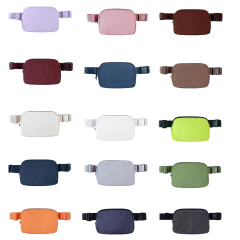 Everywhere Cross body Belt Bag