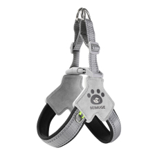 Y-Chest Dog Harness Lead