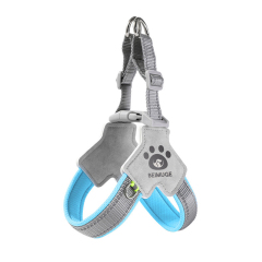 Y-Chest Dog Harness Lead