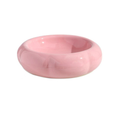 Cat Bowl Ceramic Protects