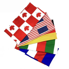 National Flag Headband