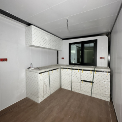 40Ft Custom Wood Grain Wallboard Container House