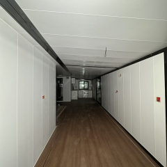 40Ft Custom Wood Grain Wallboard Container House