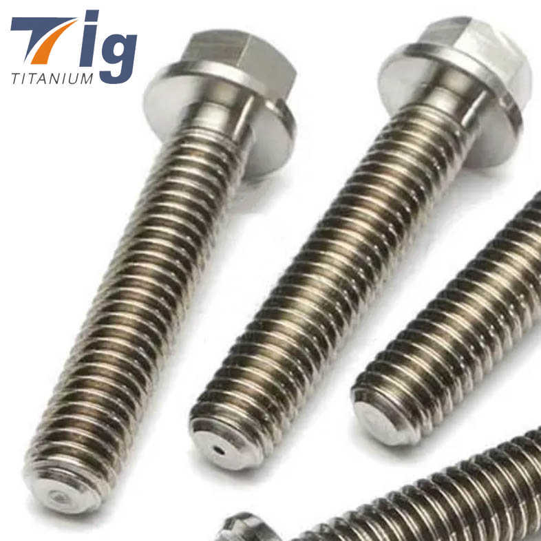 Customized M6 M8 M10 Flanged Point Hex Titanium Bolt