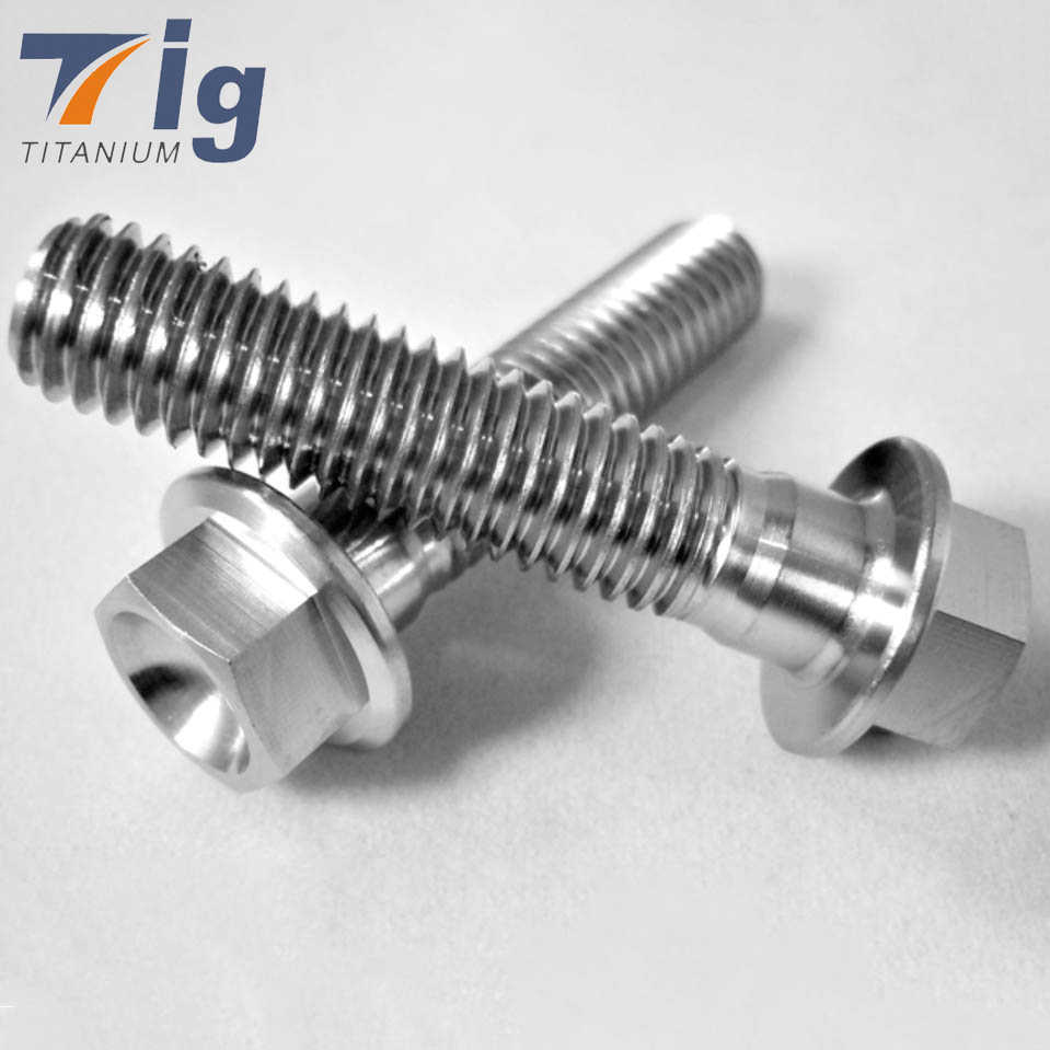 Customized M6 M8 M10 Flanged Point Hex Titanium Bolt