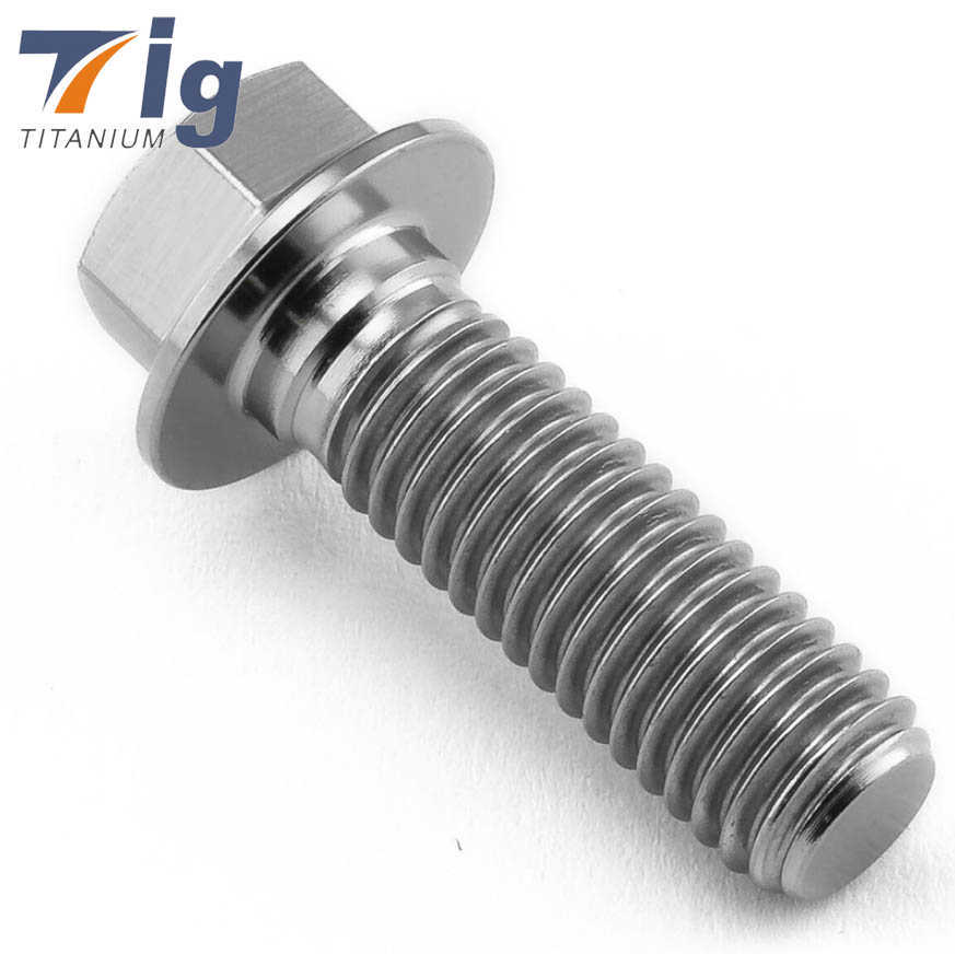 Customized M6 M8 M10 Flanged Point Hex Titanium Bolt