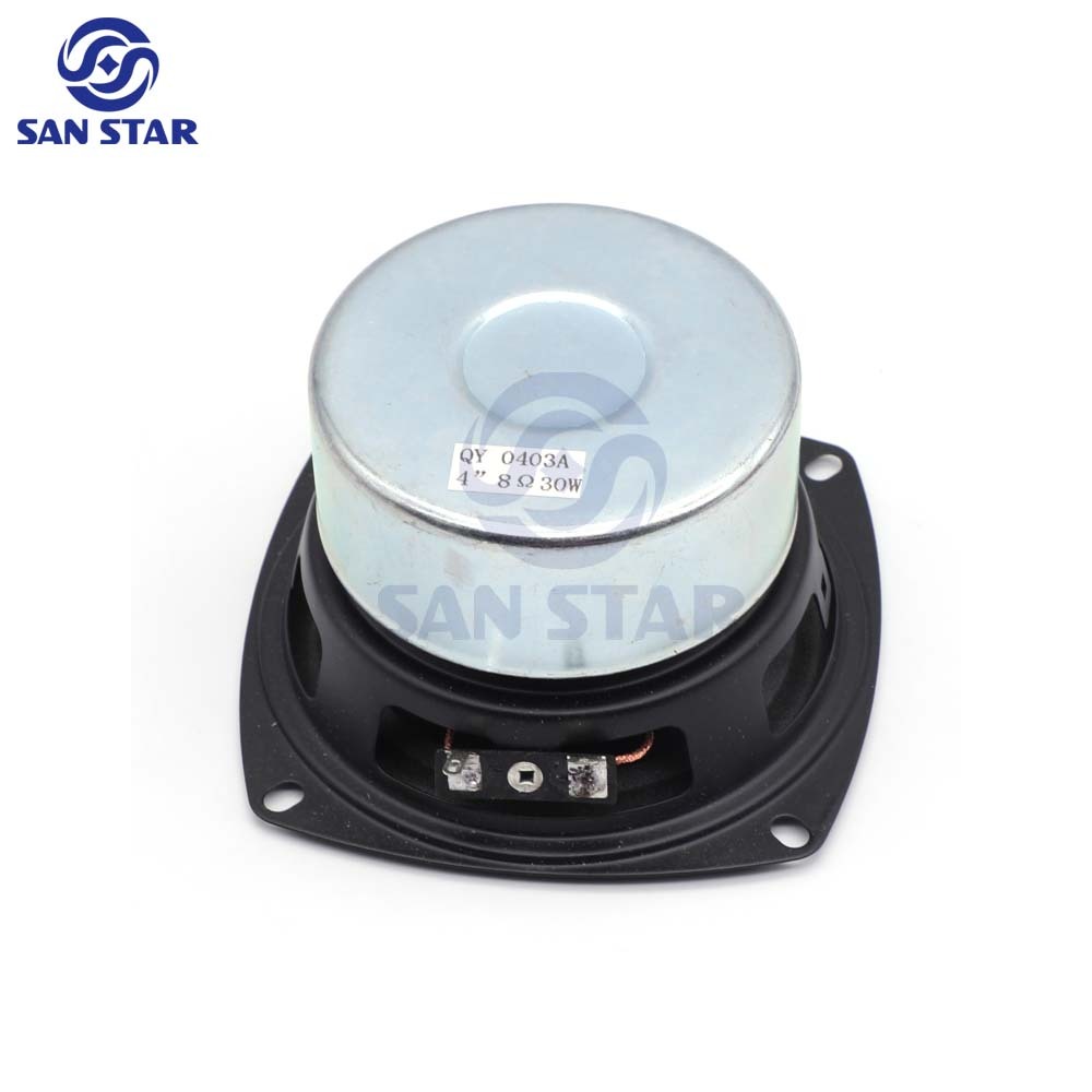 4 inch 8Ω 30W Speaker