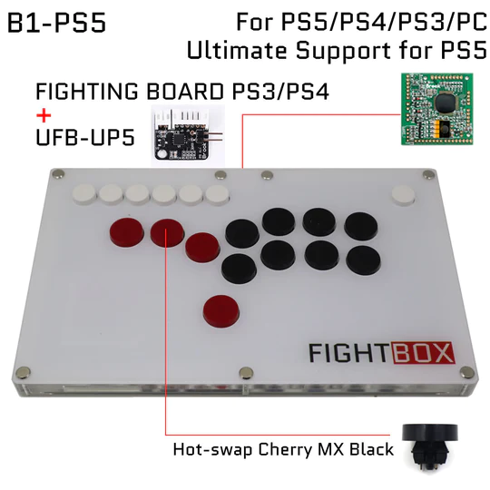 FightBox B1