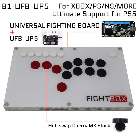 FightBox B1