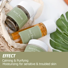 Herbal Mugwort Anti Aging Brightening Kit Mugwort Face Toner Cream Scrub Series Skin Care Set