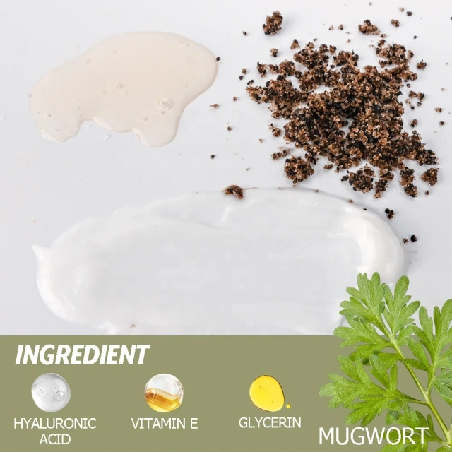Herbal Mugwort Anti Aging Brightening Kit Mugwort Face Toner Cream Scrub Series Skin Care Set