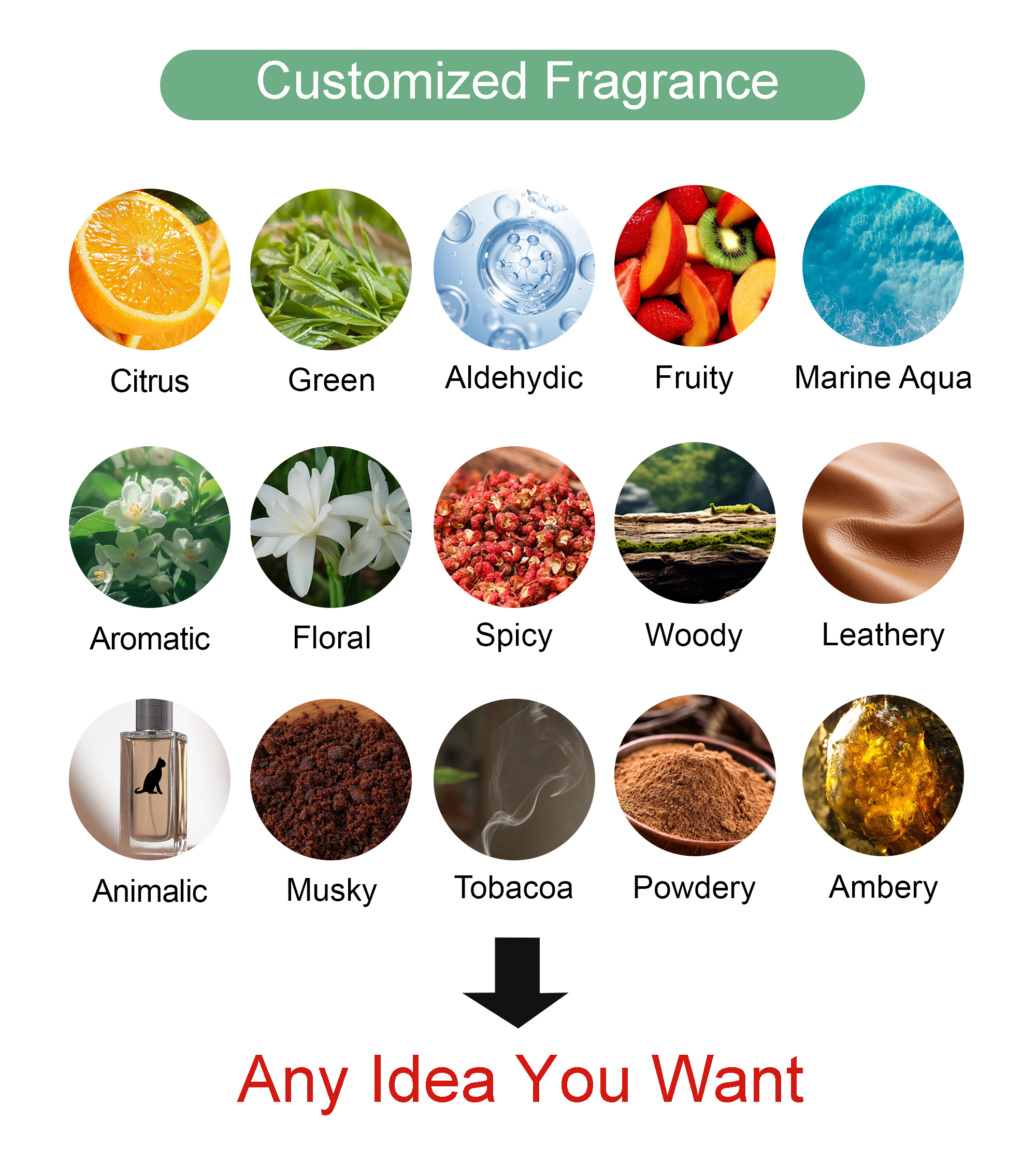 At SHIRUONI, we offer full OEM/ODM services for tanning products, specializing in the customization of self-tanning lotions, creams, sprays, oils, mousses, gels, drops, and powders.  Clients can fully customize the shade (from light glow to deep bronze), formula type (gradual tan, instant tan, shimmer, etc.), fragrance, and active ingredients (DHA, erythrulose, botanical extracts, etc.) to meet diverse market demands.  We also provide complete customization of packaging — bottles, pumps, tubes, pouches — with private label logo printing and support for small to bulk orders.  Whether you want a vegan tanning mousse or a tropical-scented tanning oil, our R&D team helps bring your vision to life with professional-grade formulations.