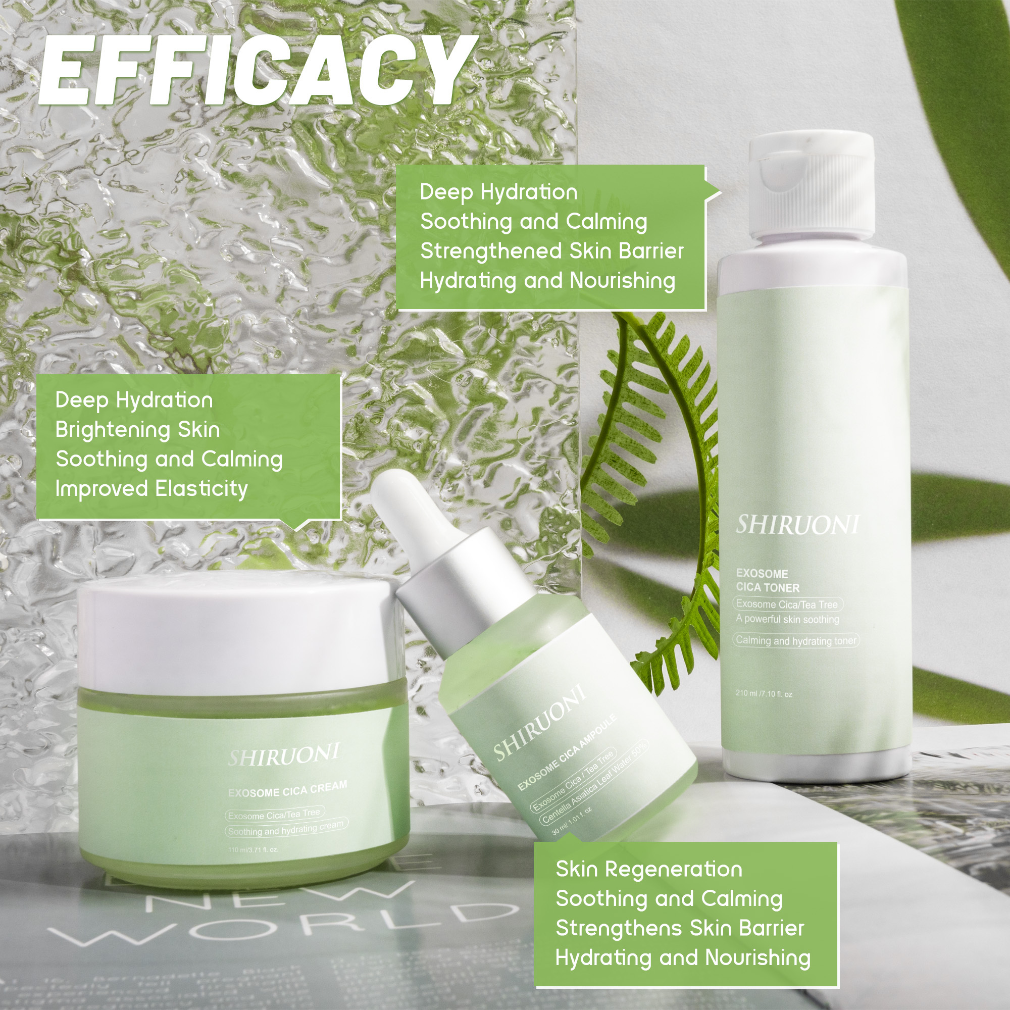 Exosome Centella Asiatica Cica Skin Care Set