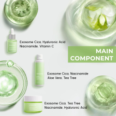 Exosome Centella Asiatica Cica Skin Care Set