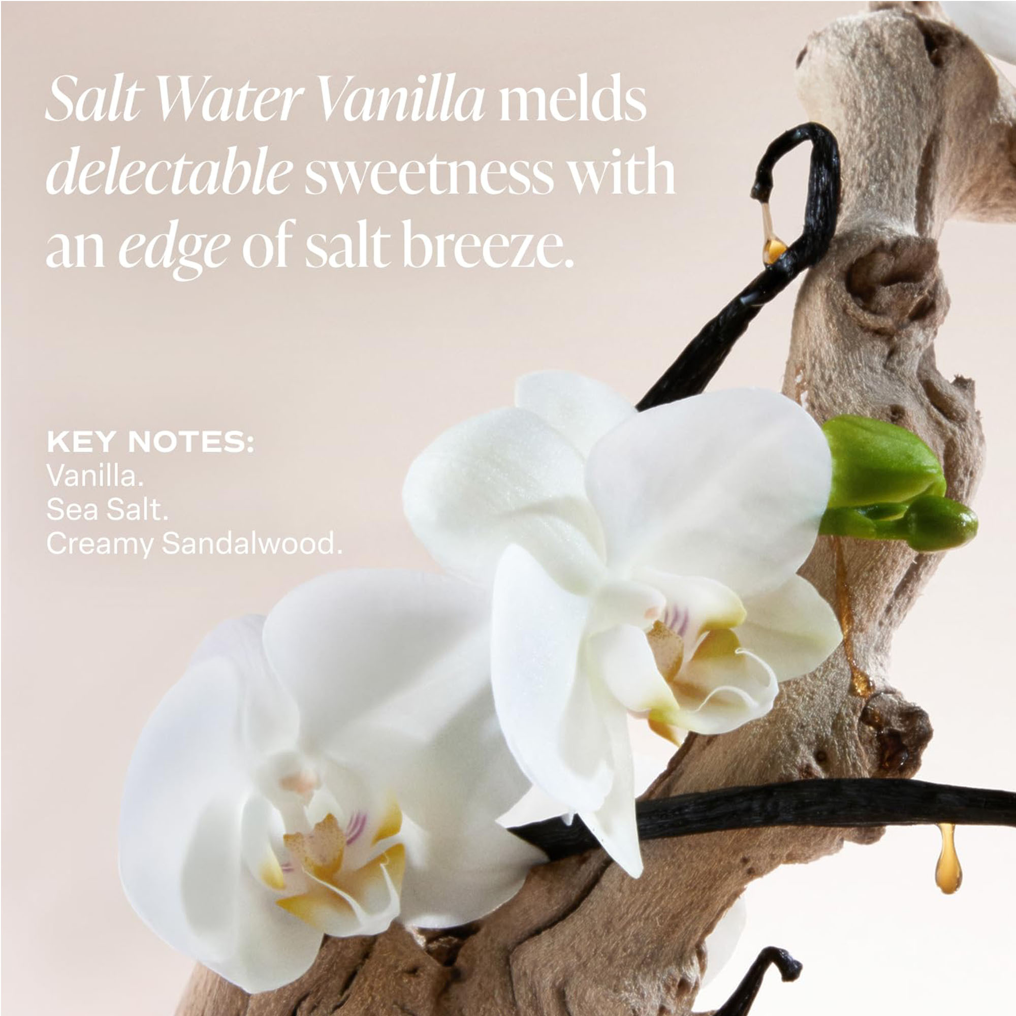 Multi-Lipid Body Butter