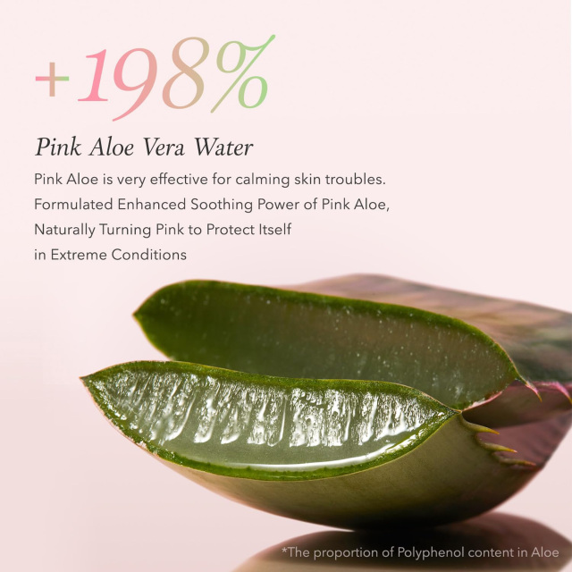 Pink Aloe Mask-to-Foam Cleanser