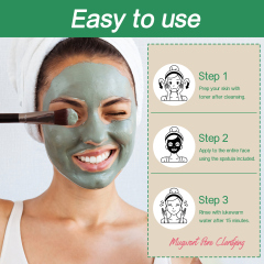 Mugwort Pore Clarifying Mask