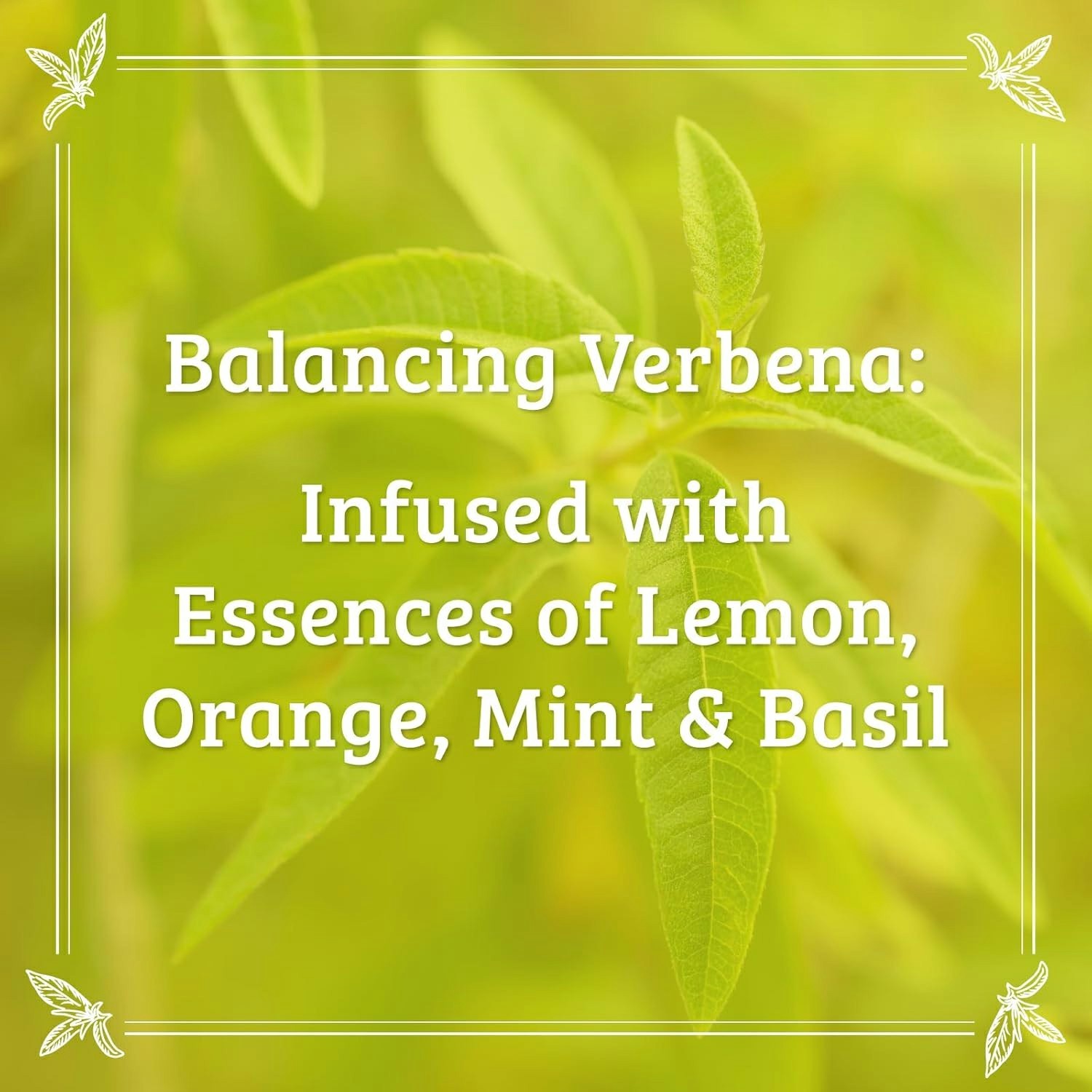 Verbena Body Lotion