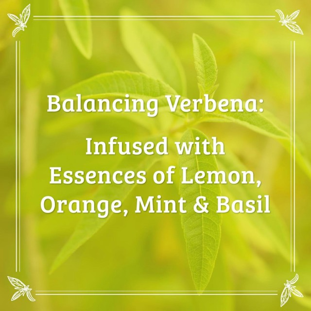 Verbena Body Lotion