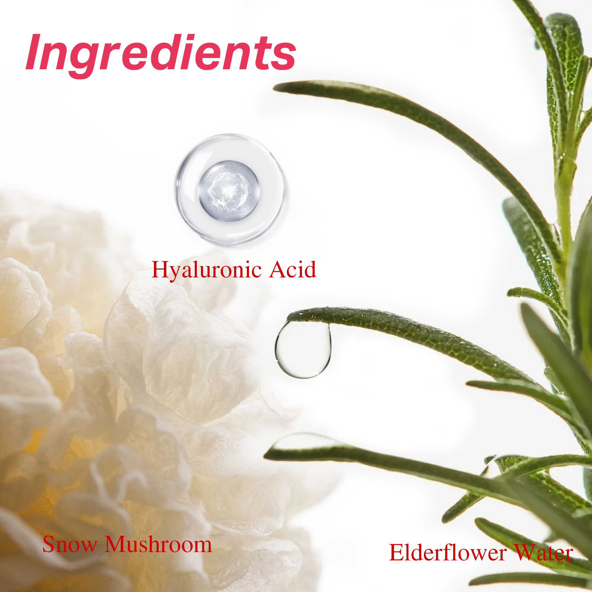 Gentle cleanser for sensitive skin oem skincare Snow Mushroom Extract Hyaluronic Acid Elderflower Water