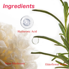 Gentle cleanser for sensitive skin oem skincare Snow Mushroom Extract Hyaluronic Acid Elderflower Water