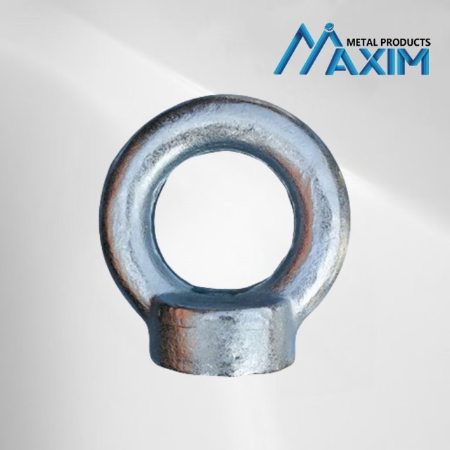 DIN582 eye nut