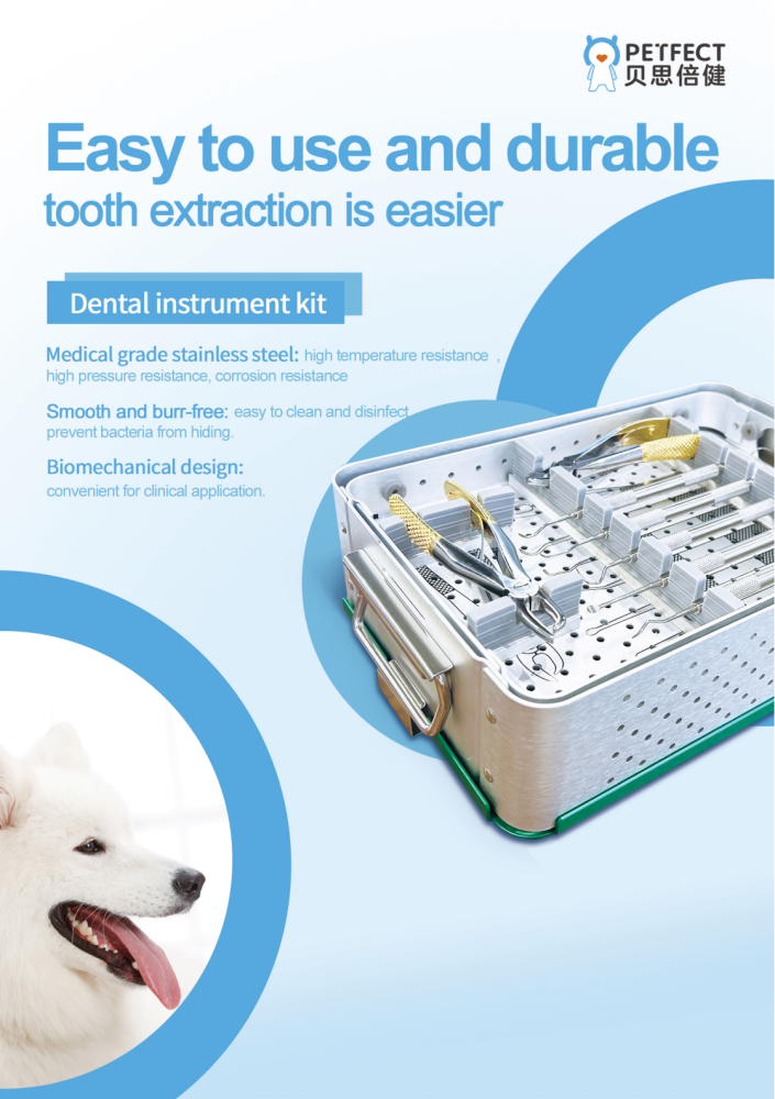 Dental instrument set (without box) | 15pcs