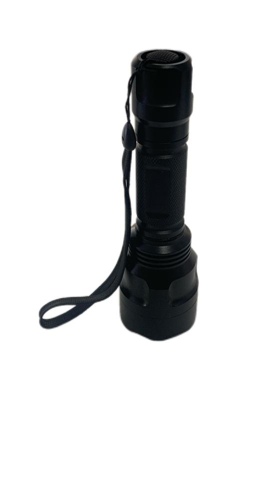 Special fungusdetection Woodslamp for pets