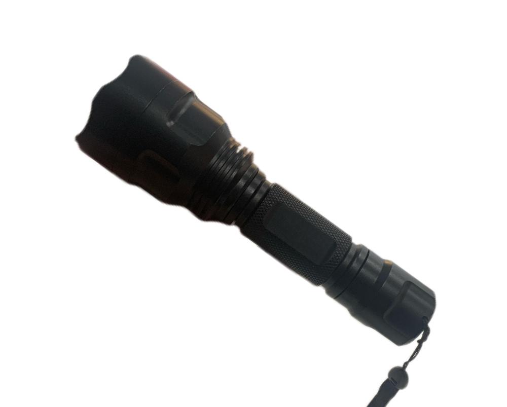 Special fungusdetection Woodslamp for pets