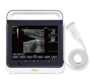 Touchscreen animals Doppler ultrasound diagnostic device PT 50A VET