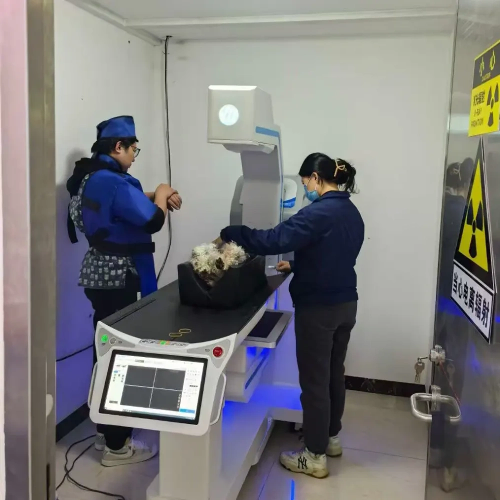CBCT