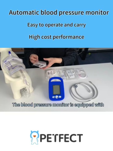 Animal blood pressure monitor