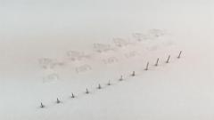 【Item No.:610206】Control Horn set(PK6)