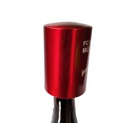 Automatic Beer Bottle Opener