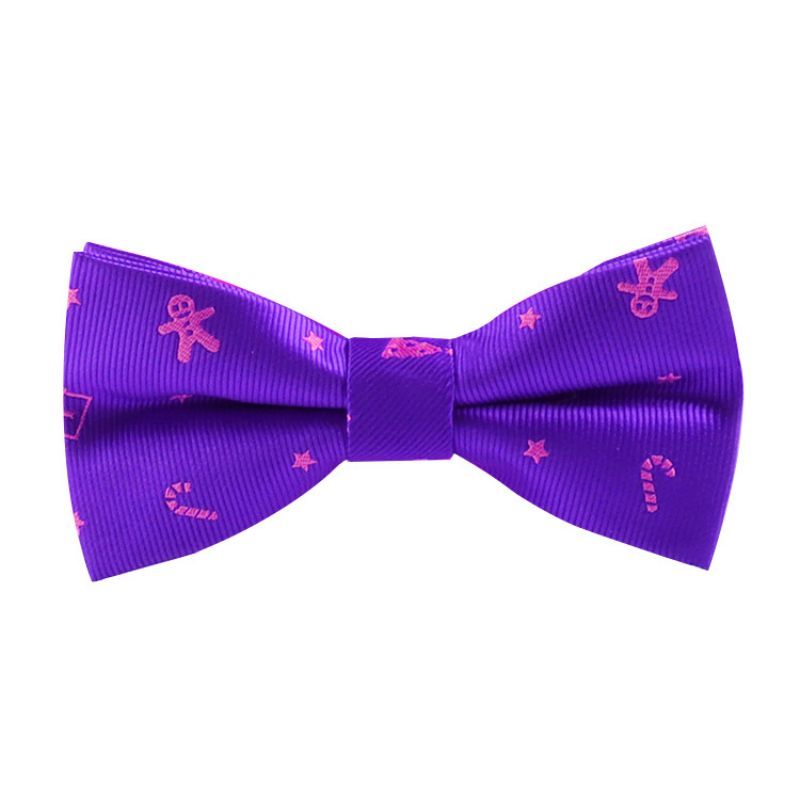 Imitated Silk Neck Bow Tie