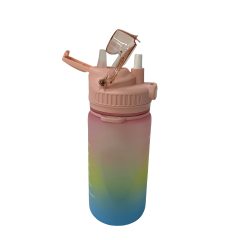 New Dual Lid Sippy Cup Tritan Sports Water Bottle with Straw