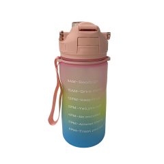 New Dual Lid Sippy Cup Tritan Sports Water Bottle with Straw