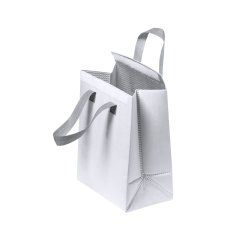 Non-woven Lamination Cooler Bag