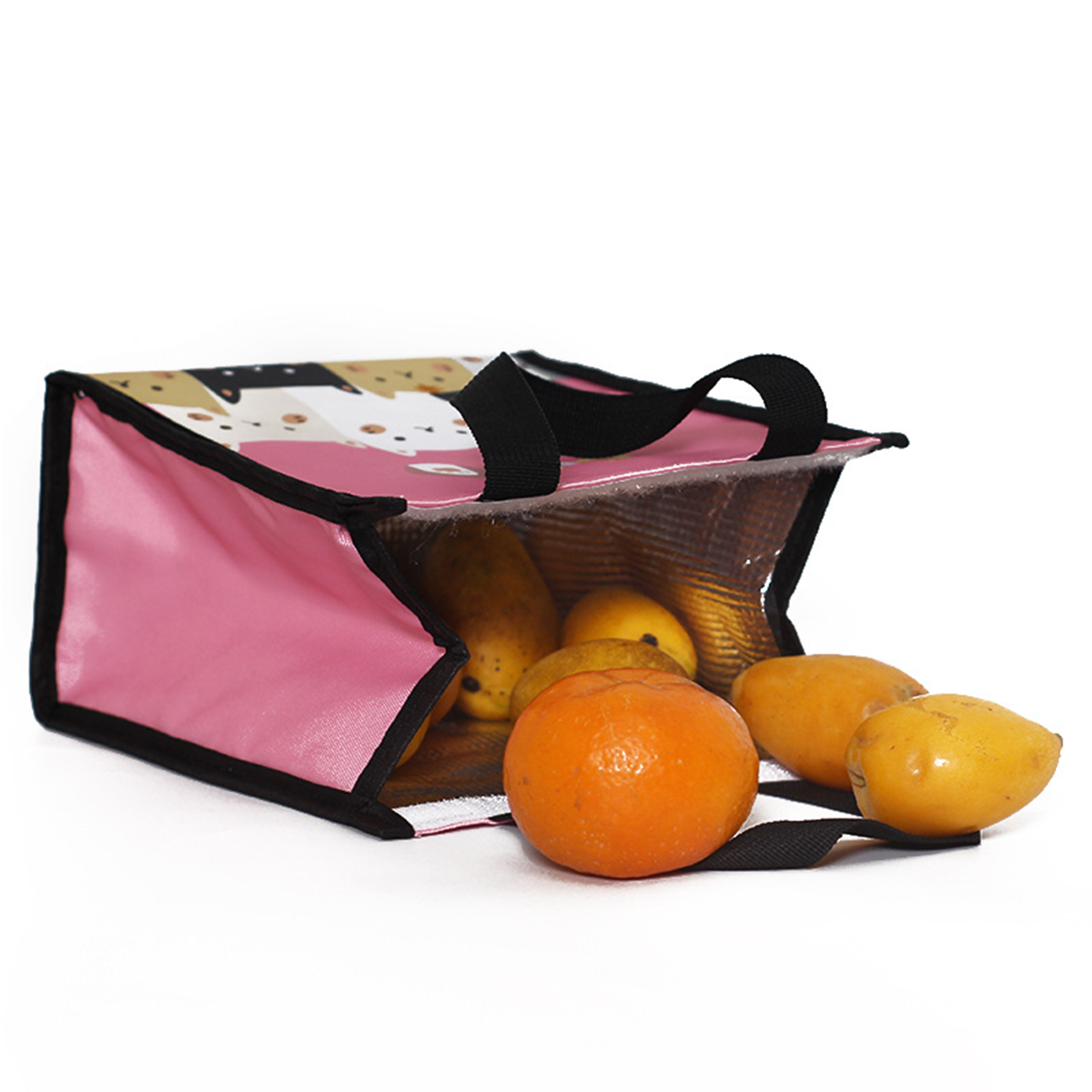 Insulated Lunch Cooler Bag