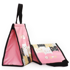 Insulated Lunch Cooler Bag