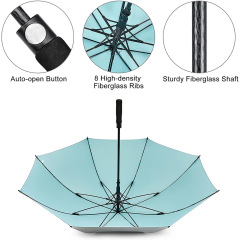Auto Open Double Layer Compact Two Tone Umbrella