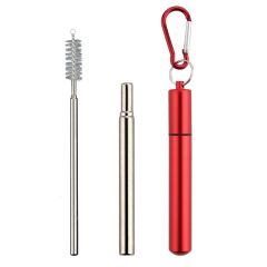 Collapsible Foldable Stainless Steel Straws