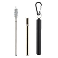 Collapsible Foldable Stainless Steel Straws