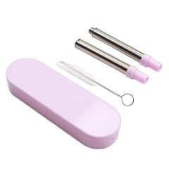 Portable Foldable Stainless Steel Straw Set