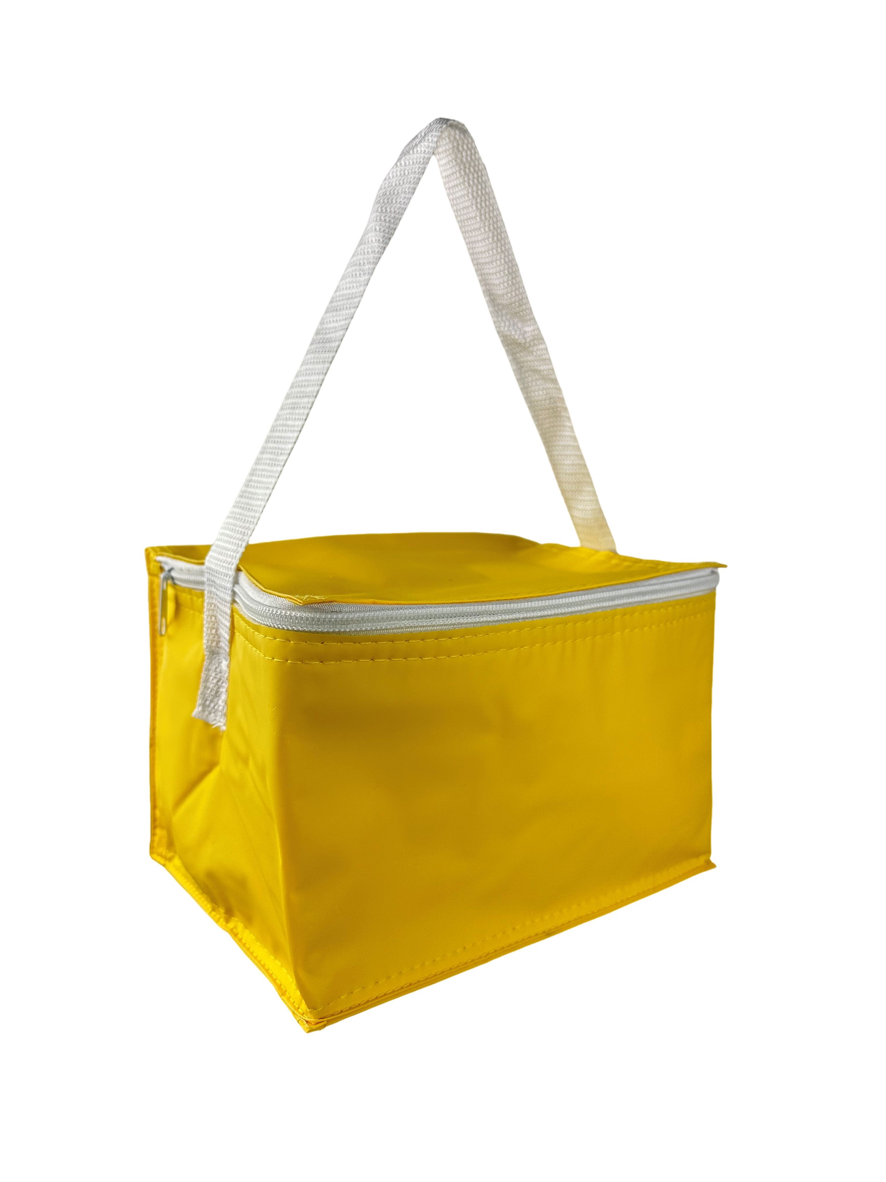 PVC Cooler Bag