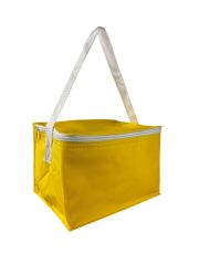 PVC Cooler Bag